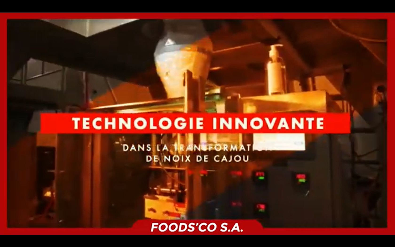 Foods Co Publi-Reportage
